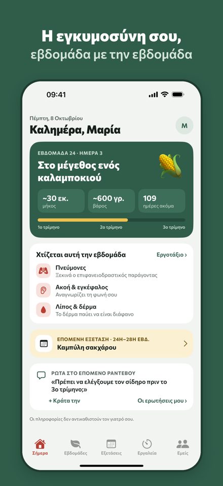 Today screen: pregnancy week, baby size and next test